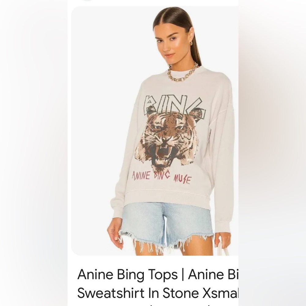 Anine bing sweatshirt